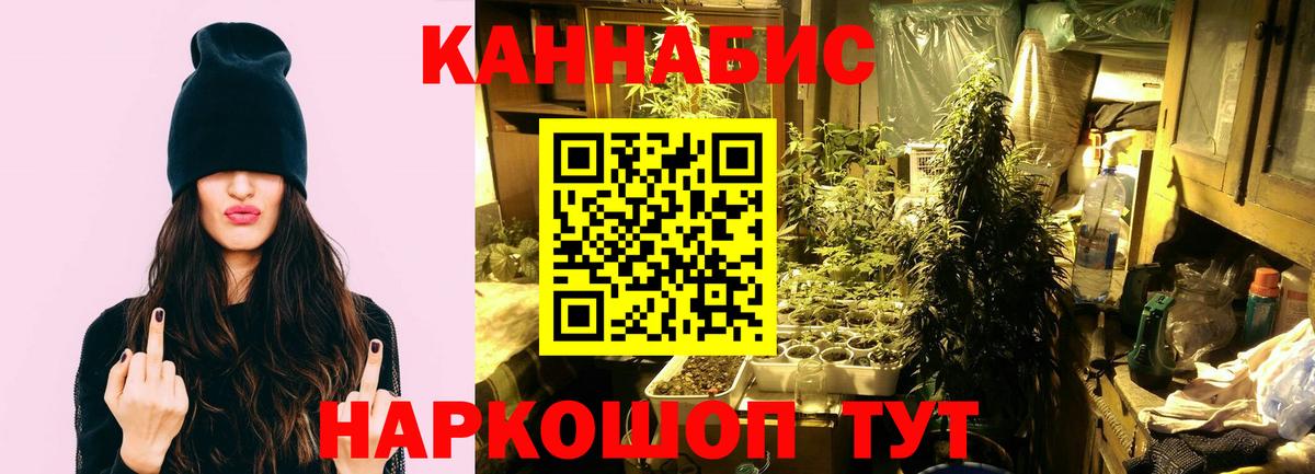 Ликино-Дулёво  Бошки марихуана THC 21%  Каннабис сатива  Вход с VPN 